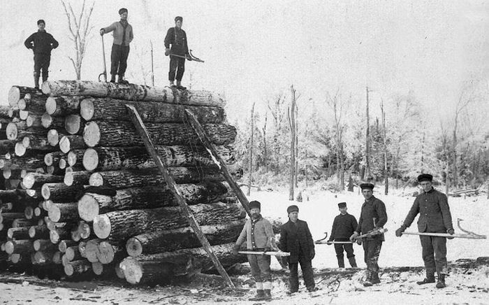 Loggers at Work